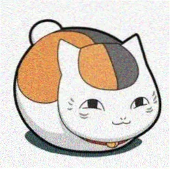 追剧小能手